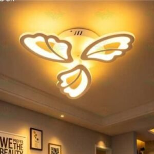 LED CEILING LAMP (1)
