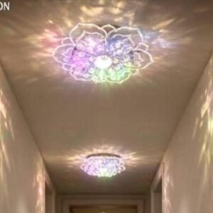 LED CEILING LAMP (13)