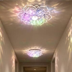 LED CEILING LAMP (3)