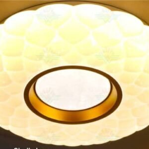 LUXURY LED CEILING LIGHTS
